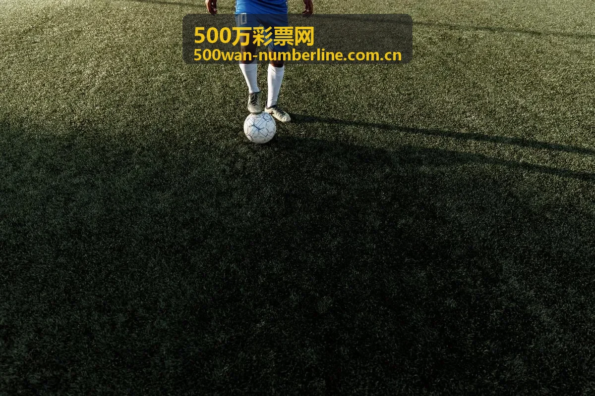 500万彩票网深度走势分析报告展示